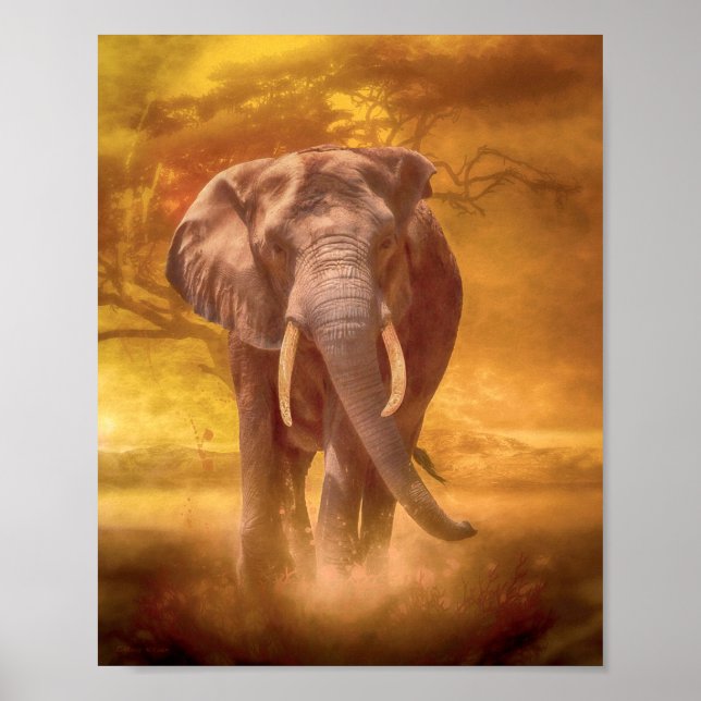 Poster Nobreza do Elefante Africano (Frente)