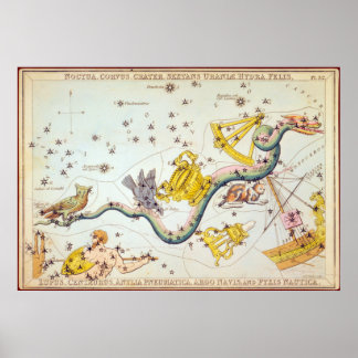 Poster Noctua, Corvus, Cratera, etc