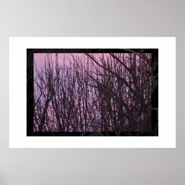 Póster noite (Frente)