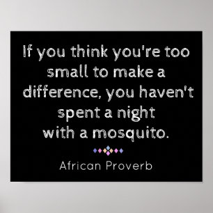 Póster Noite com mosquito - provérbio africano -