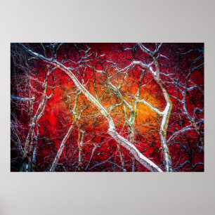 Póster Noite de inverno Vermelho