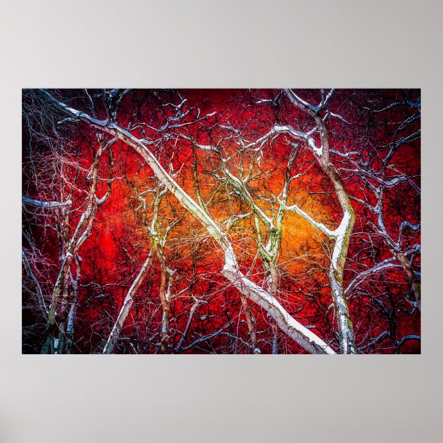 Póster Noite de inverno Vermelho (Frente)