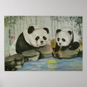 Póster noite de lua