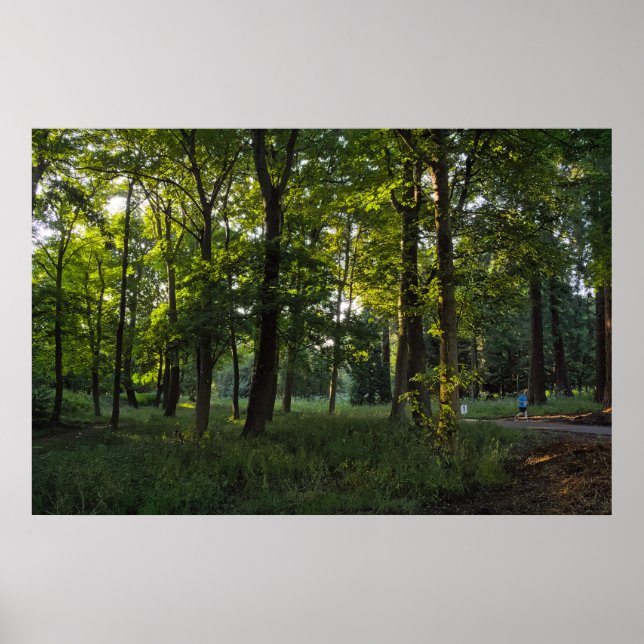 Poster Noite de Verão, Bute Park, Cardiff (Frente)