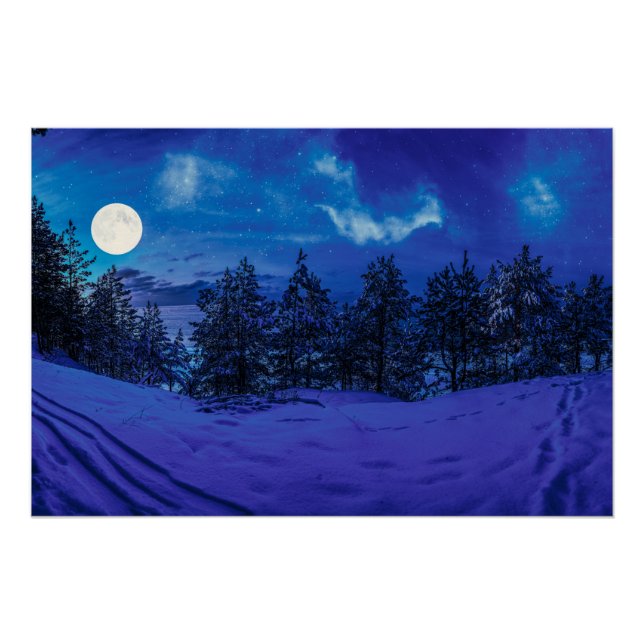 Póster Noite estrelada com lua de cheio na floresta (Frente)