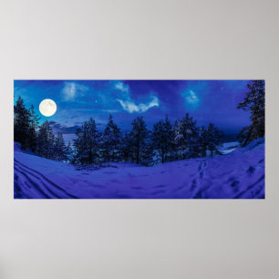 Poster Noite estrelada com lua de cheio na floresta