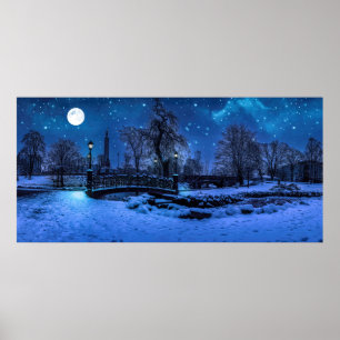 Poster Noite mágica de inverno com céu estrelado e lua 
