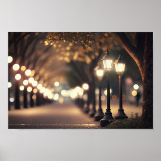 Poster Noite no Parque com iluminação Bokeh
