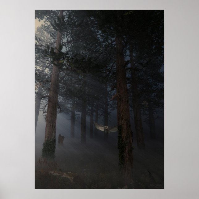 Póster Noite Silenciosa (Frente)