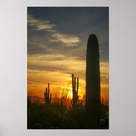 Poster Noites de Deserts