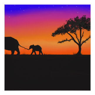Póster Noites do Serengeti