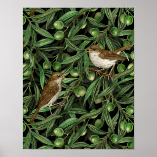 Poster Noites na oliveira 3