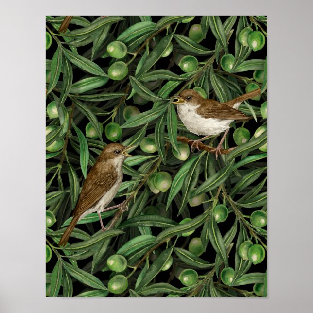 Poster Noites na oliveira 3 (Frente)