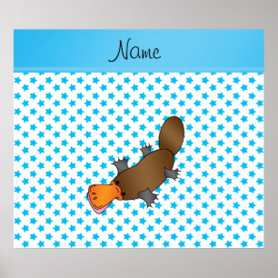 Póster Nome personalizado platypus - estrelas brancas azu