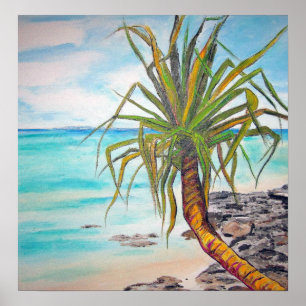 Póster Noosa Pandanas