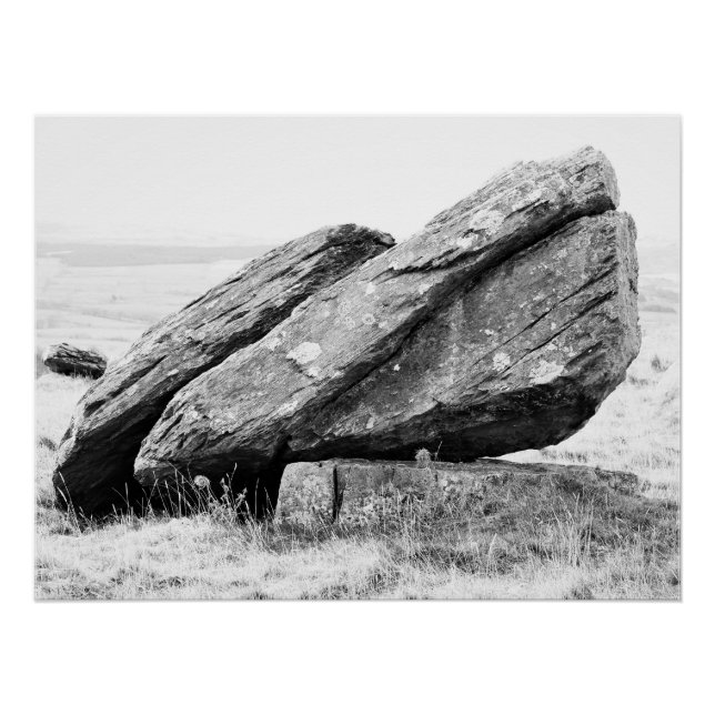 Póster Norber Erratic Poster (Frente)