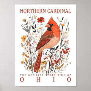 Poster Norte Cardinal Bird de Ohio EUA