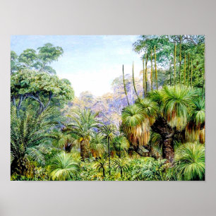 Poster Norte - Cena Florestal no Oeste da Austrália