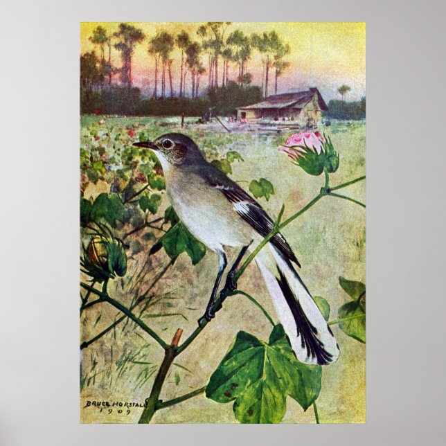 Póster Norte Mockingbird (Frente)