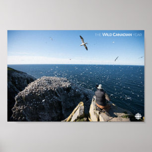 Poster Nortes