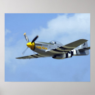 Poster North American P-51D Mustang, Pequeno Cavalo