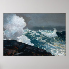 Poster Northeaster de Homer