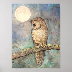 Póster Northern Spotted Owl Fine Art Wildlife