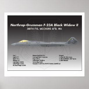 poster Northrop F-23A Black Widow II 20x16
