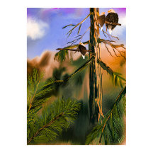 Northwest Nature Life com Eagles Digital Painting