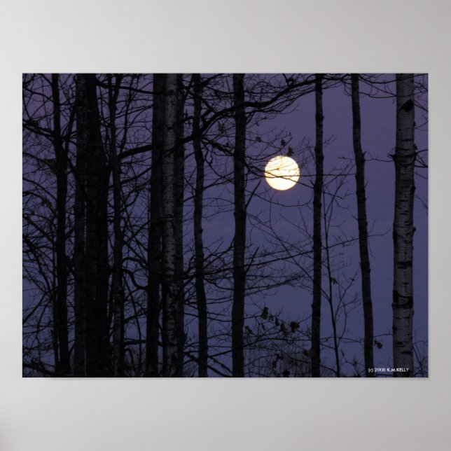 Póster Northwoods Moon. (Frente)
