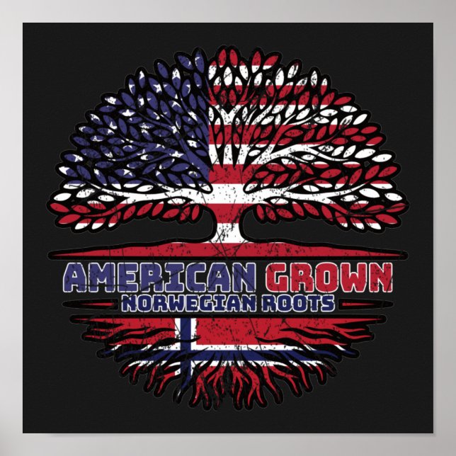 Poster Noruega Noruega EUA EUA EUA EUA Estados Unidos (Frente)