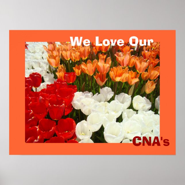 Póster Nós Amamos Nossos CNA's pôsteres Flores de Tulipa  (Frente)