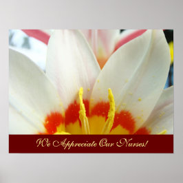Póster Nós Apreciamos Nossos Enfermeiros! cartazes de art