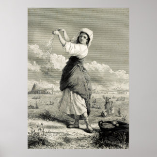 Poster Nos Campos - J G Chapman - 1861