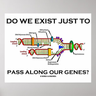 Póster Nós Existimos Apenas Para Passar Por Nossos Genes?