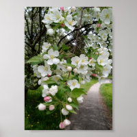 Nos Galhos das Flores