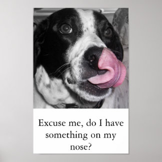 Poster Nose Job