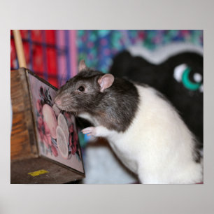 Póster Nosey