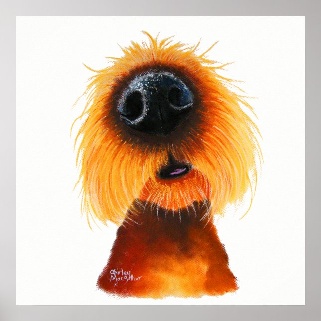 Póster Nosey Dog ' SMELLS LiKe SuNSHNe ' de Shirley Mac (Frente)