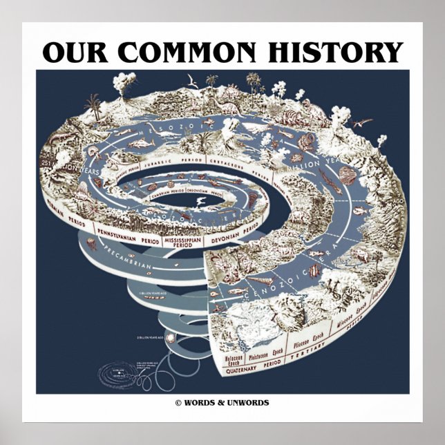 Póster Nossa História Comum (Espiral da Linha do Tempo da (Frente)