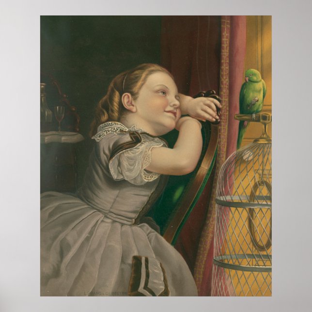 Poster Nosso Pet Polly (Frente)