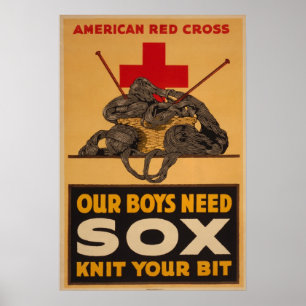 Poster Nosso Sox da necessidade dos meninos