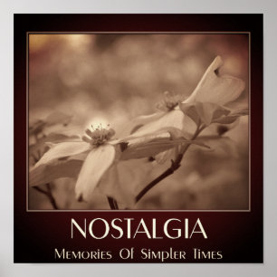 Poster Nostalgia Sépia Flor de Dogwood