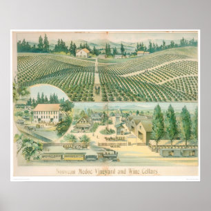 Póster Nouveau Medoc Vineyard and Wine Cellars (1213A)