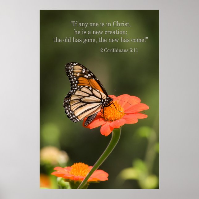 Poster Nova Criação (Frente)