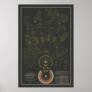 Poster Nova Iorque e Erie Railroad Org - Escuro - Cor