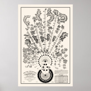 Poster Nova Iorque e Erie Railroad Org - Leve - Contorno