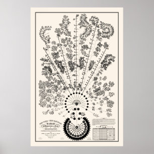 Poster Nova Iorque e Erie Railroad Org - Leve - Contorno