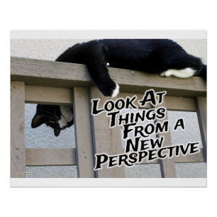 Póster Nova perspectiva