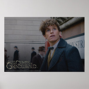 Poster NOVA SCAMANDER™ Em Londres Foto